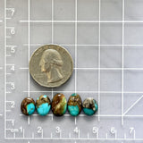 Small Sky Blue Mixed Royston Turquoise, Set of 5 Dimensions