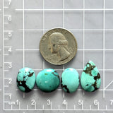 Small Mint Green Mixed Yungai Turquoise, Set of 4 Dimensions