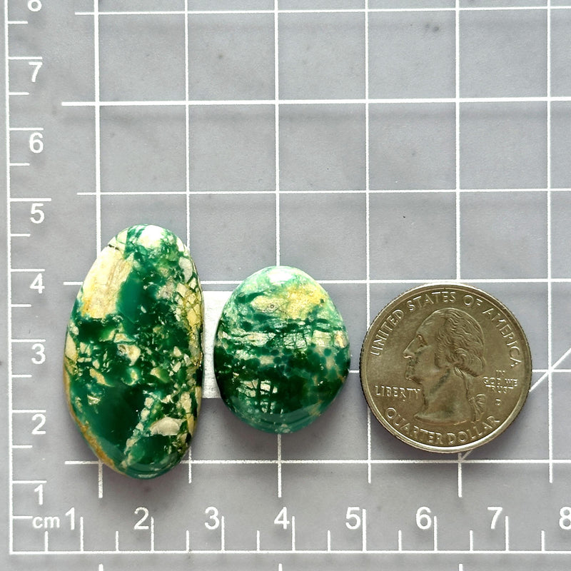 Large Deep Green Mixed Fox Turquoise, Set of 2 Dimensions