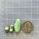 Medium Lime Green Mixed Crescent Lake Variscite, Set of 3 Dimensions