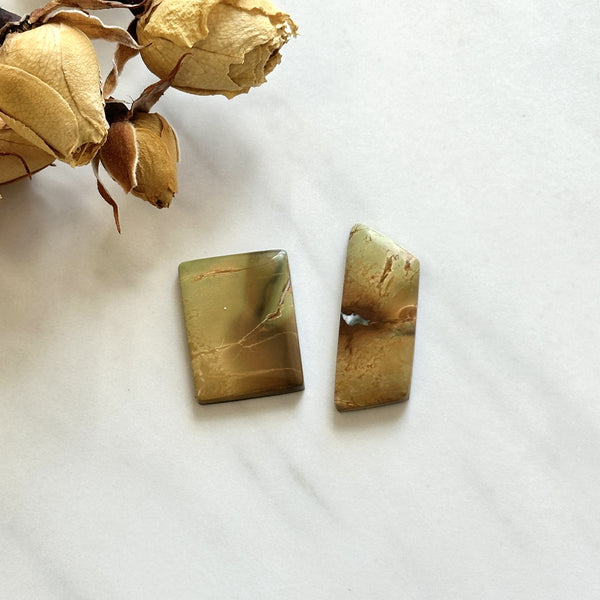 Large Earth Brown Mixed Crescent Lake Variscite, Set of 2 Background