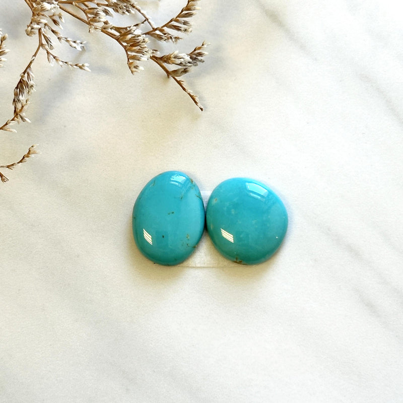 Medium Sky Blue Freeform Kingman Turquoise, Set of 2 Background