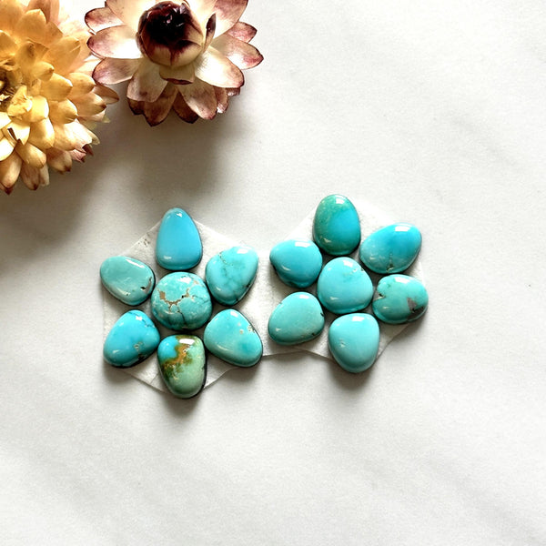 Small Sky Blue Mixed Lone Mountain Turquoise, Set of 14 Background