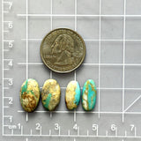 Medium Sky Blue Oval Royston Turquoise, Set of 4 Dimensions