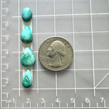 Small Sky Blue Mixed Fox Turquoise, Set of 4 Dimensions