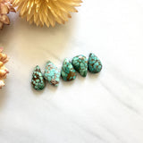 Small Sea Green Mixed Namtso Lake Turquoise, Set of 5 Background