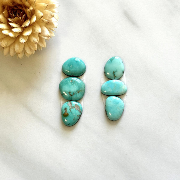 Small Faint Green Mixed Lone Mountain Turquoise, Set of 6 Background
