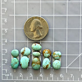 Small Faint Blue Mixed Number 8 Turquoise, Set of 11 Dimensions
