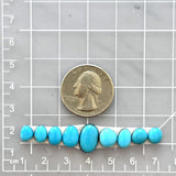 Small Sky Blue Mixed Sleeping Beauty Turquoise, Set of 9 Dimensions