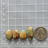 Medium Sky Blue Freeform Royston Turquoise, Set of 4 Dimensions