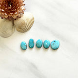 Small Sky Blue Freeform Kingman Turquoise, Set of 5 Background