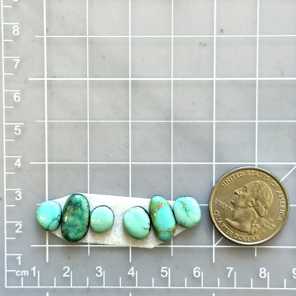 Small Sky Blue Mixed Lone Mountain Turquoise, Set of 6 Dimensions