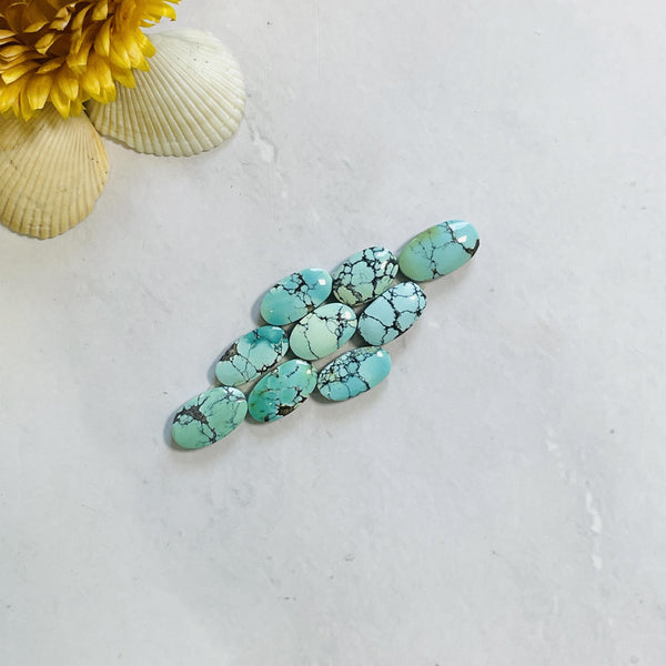 Small Mixed Oval Mixed Turquoise, Set of 9 Background