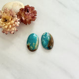Medium Ocean Blue Oval Fox Turquoise, Set of 2 Background