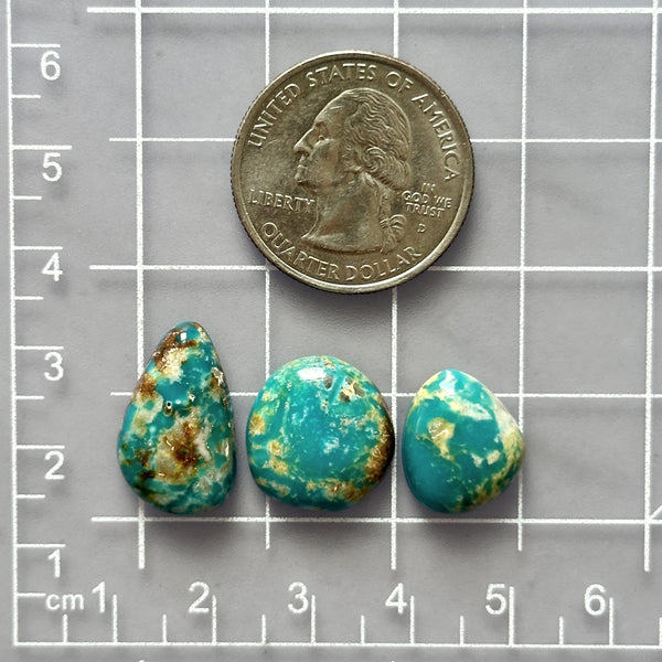 Small Sky Blue Mixed Fox Turquoise, Set of 3 Dimensions