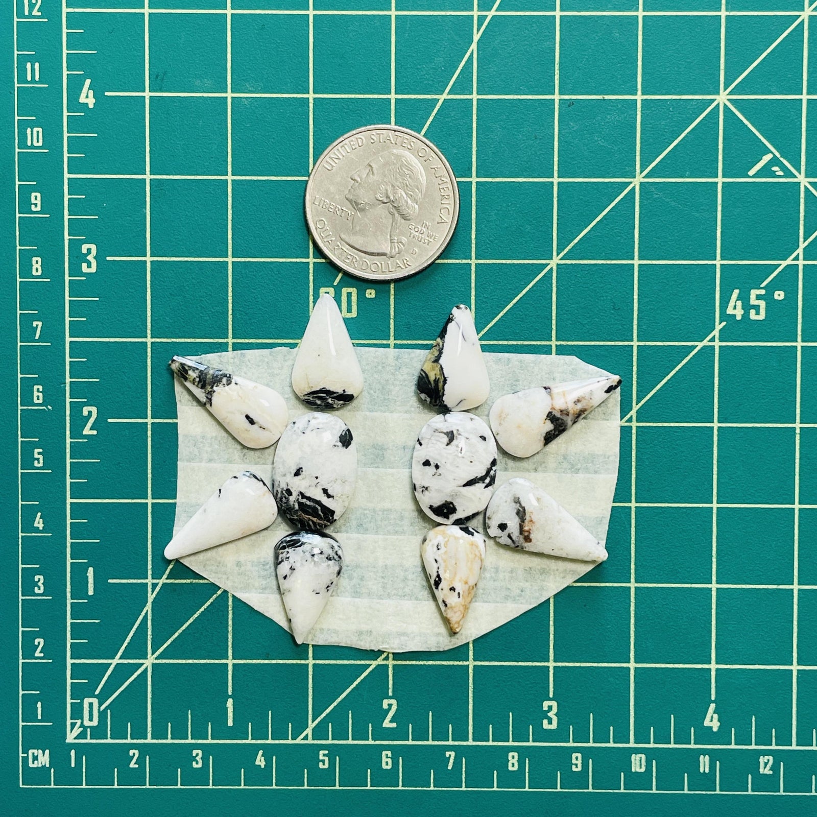 Small White Mixed White Buffalo Dolomite, Set of 10 - Turquoise Moose