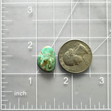 Medium Mint Green Freeform Royston Turquoise Dimensions
