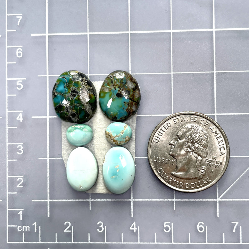 Small Mixed Freeform Mixed Turquoise, Set of 6 Dimensions