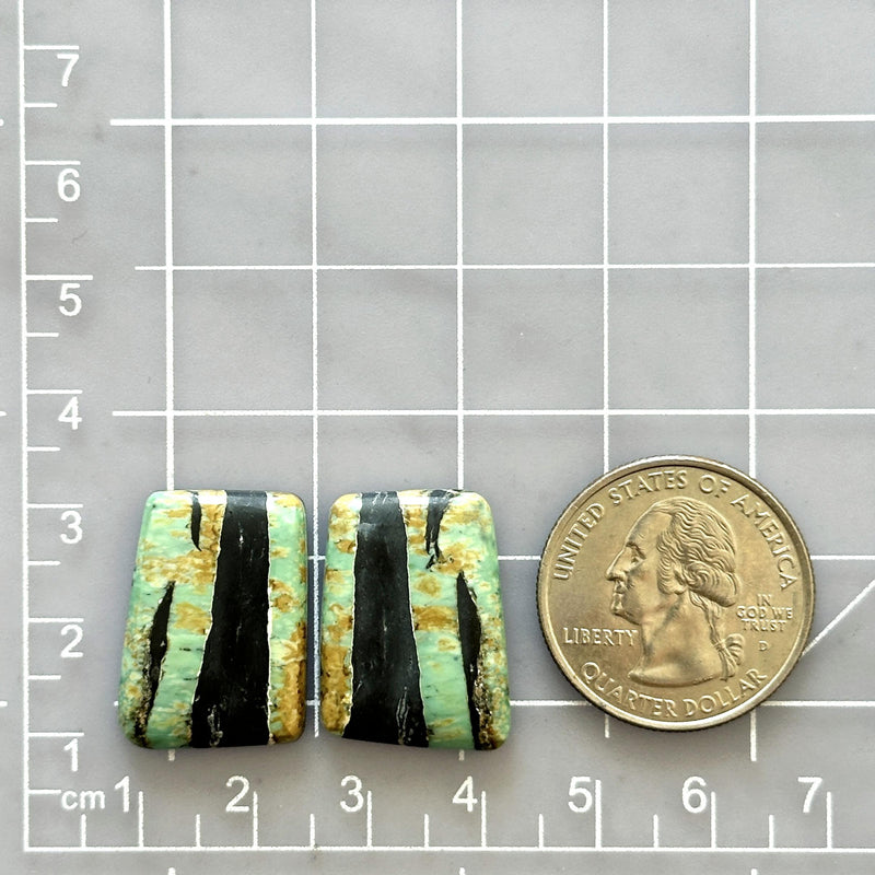 Large Sea Green Freeform Crescent Lake Variscite, Set of 2 Dimensions