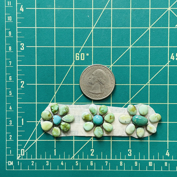 Small Mixed Mixed Sonoran Lime Turquoise, Set of 24 Dimensions
