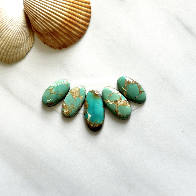 Small Sea Green Oval Royston Turquoise, Set of 5 Background