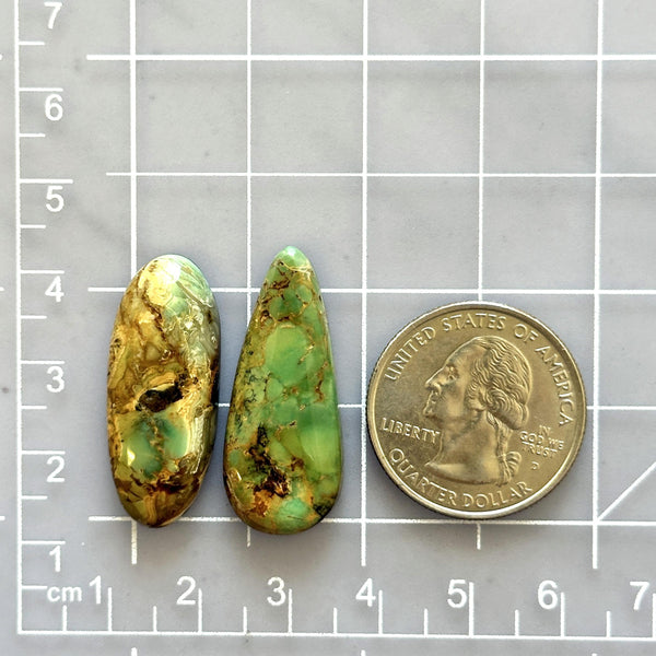 Large Sea Green Mixed Crescent Lake Variscite, Set of 2 Dimensions