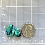 Medium Sea Green Mixed Treasure Mountain Turquoise, Set of 2 Dimensions
