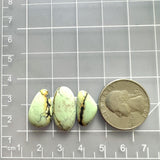 Small Faint Blue Freeform Crescent Lake Variscite, Set of 3 Dimensions