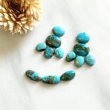 Small Mixed Mixed Mixed Turquoise, Set of 13 Background