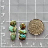 Small Mint Green Mixed Tyrone Turquoise, Set of 6 Dimensions