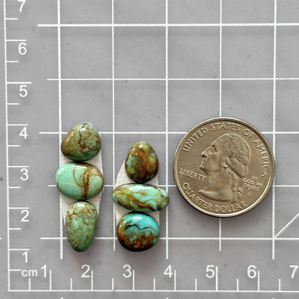 Small Mint Green Mixed Tyrone Turquoise, Set of 6 Dimensions