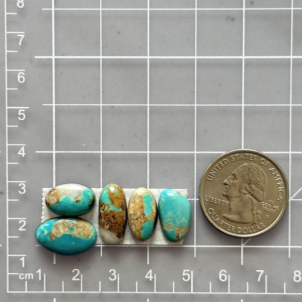 Small Sky Blue Oval Number 8 Turquoise, Set of 5 Dimensions