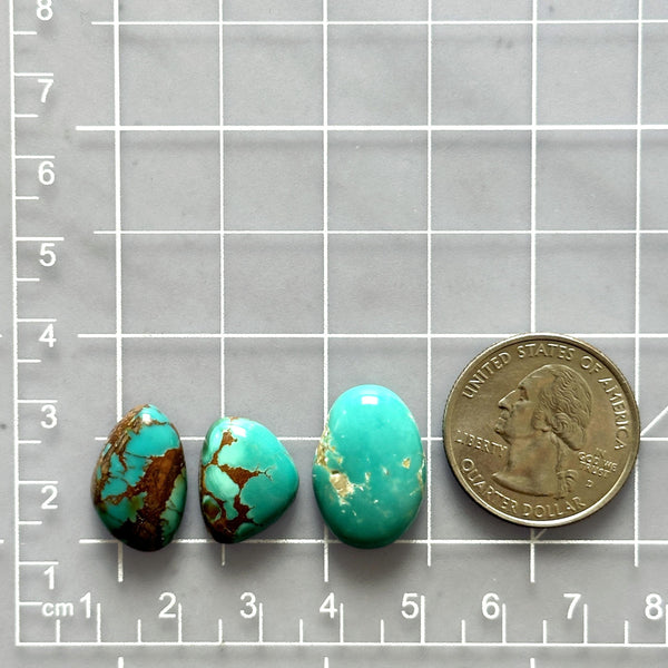 Small Sky Blue Freeform Royston Turquoise, Set of 3 Dimensions