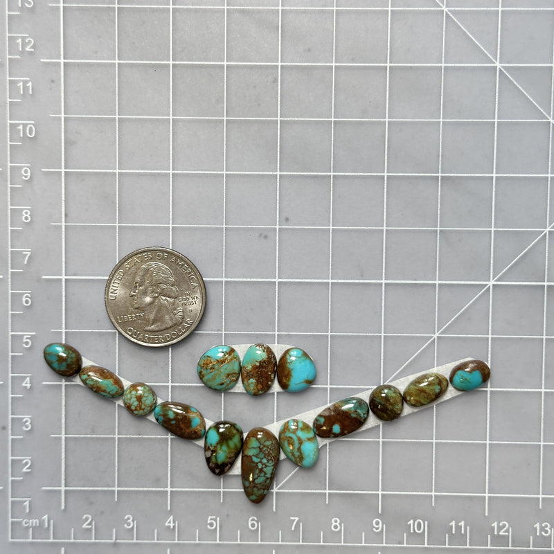 Small Mixed Mixed Tyrone Turquoise, Set of 14 Dimensions