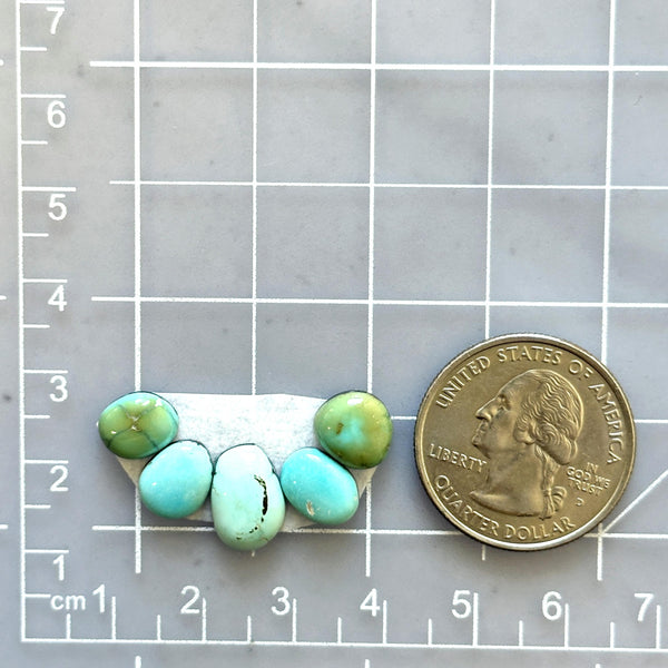 Small Mixed Mixed Lone Mountain Turquoise, Set of 5 Dimensions