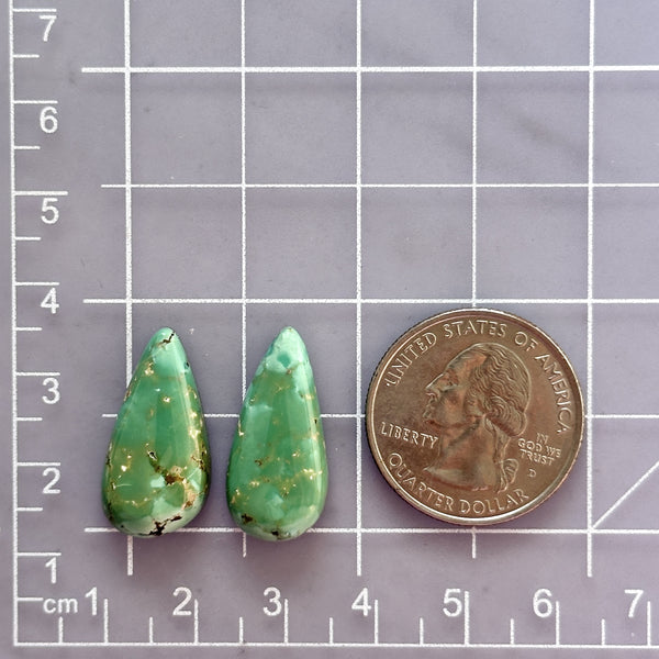 Medium Sea Green Teardrop Namtso Lake Turquoise, Set of 2 Dimensions