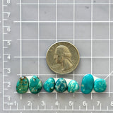 Small Sea Green Mixed Fox Turquoise, Set of 7 Dimensions
