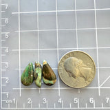 Small Mixed Mixed Crescent Lake Variscite, Set of 3 Dimensions