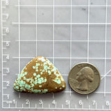 Large Faint Green Freeform Number 8 Turquoise Dimensions