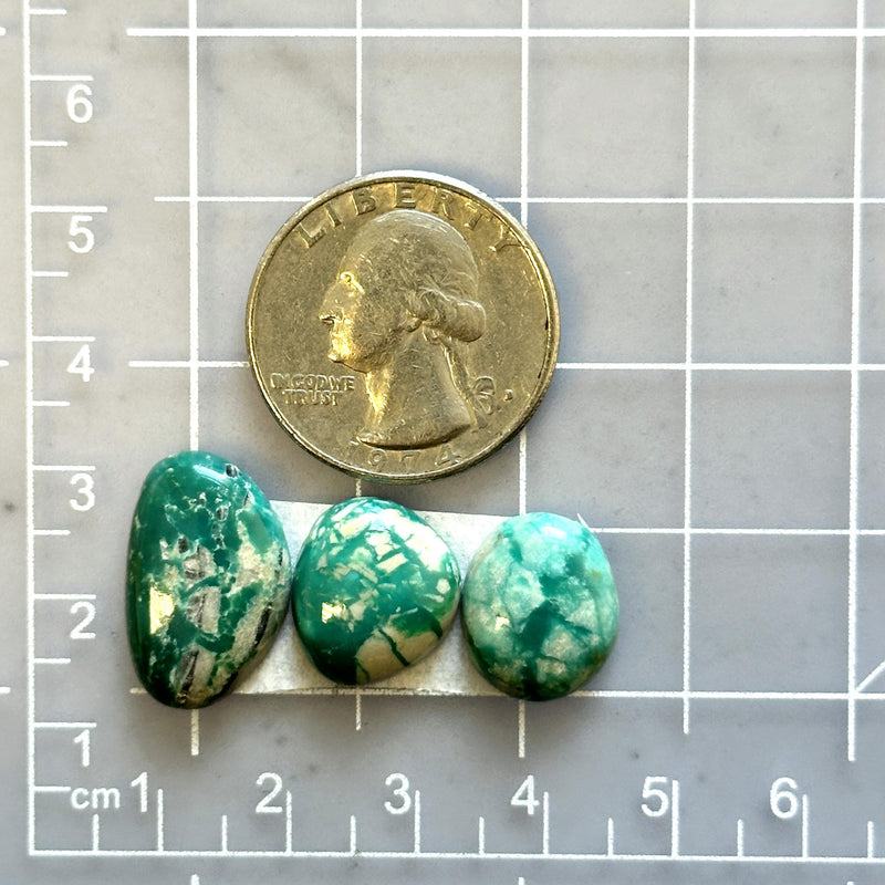 Small Deep Green Freeform Fox Turquoise, Set of 3 Dimensions