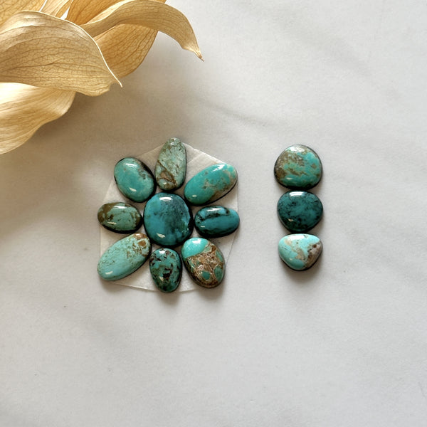 Small Mixed Mixed Mixed Turquoise, Set of 12 Background