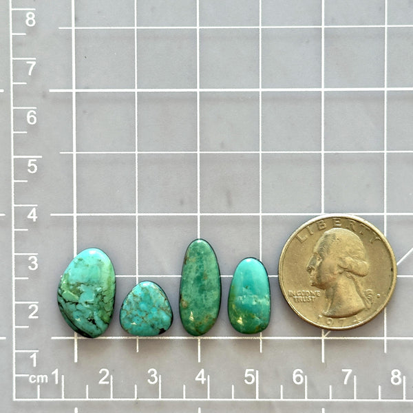 Small Sky Blue Freeform Kingman Turquoise, Set of 4 Dimensions