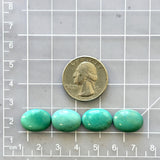 Medium Mint Green Oval Kingman Turquoise, Set of 4 Dimensions