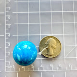 Large Sky Blue Round Ithaca Peak Turquoise Dimensions