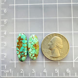 Medium Sea Green Oval Namtso Lake Turquoise, Set of 2 Dimensions