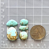 Small Sky Blue Mixed Number 8 Turquoise, Set of 5 Dimensions
