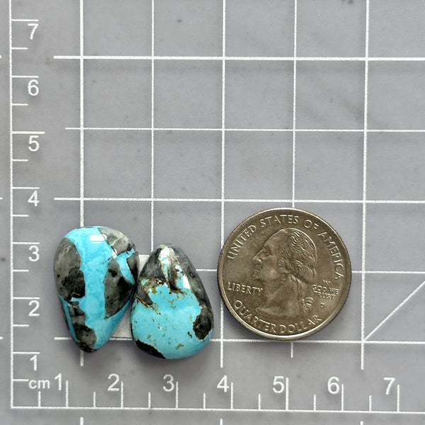 Large Sky Blue Teardrop Blue Moon Turquoise, Set of 2 Dimensions