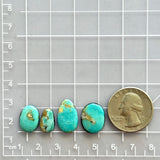 Small Sky Blue Freeform Royston Turquoise, Set of 4 Dimensions