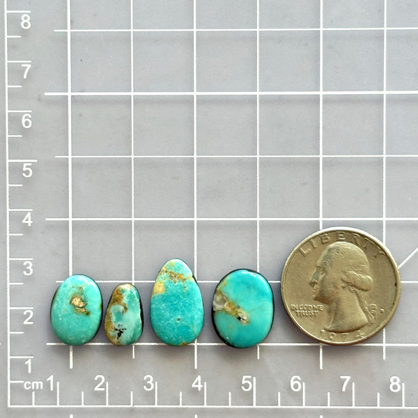 Small Sky Blue Freeform Royston Turquoise, Set of 4 Dimensions