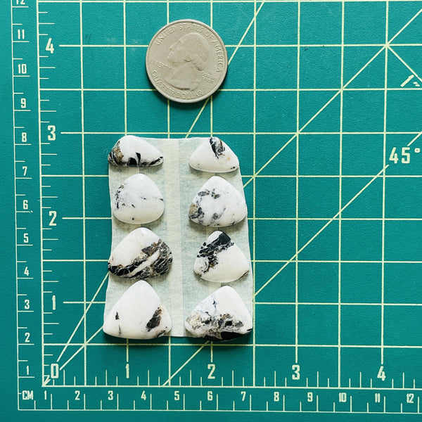 Small White Mixed White Buffalo Dolomite, Set of 8 Dimensions